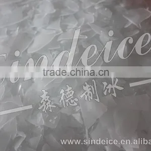Sindeice Flake Ice Evaporator Machine 2T/24h thumbnail-3
