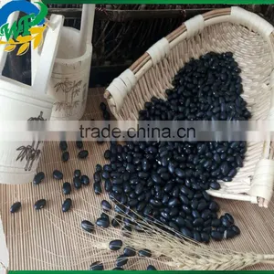 Chinese Black Kidney Beans thumbnail-1