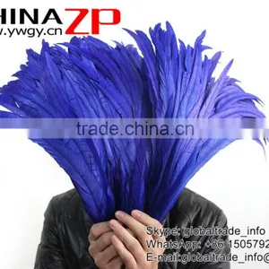 Leading Supplier CHINAZP Wholesale Colored Royal Blue Chicken Fully Dyed Roosters Feathers for Show thumbnail-2