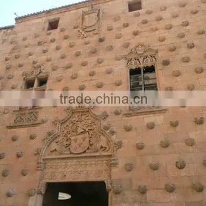 Decorative Elevation thumbnail-1