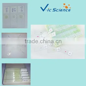 Educational Teaching Plant Tissue Botany Prepared Slides thumbnail-1