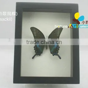 FOUSEN(017) Nature& Art Natural Species Gifts for Elderly thumbnail-1