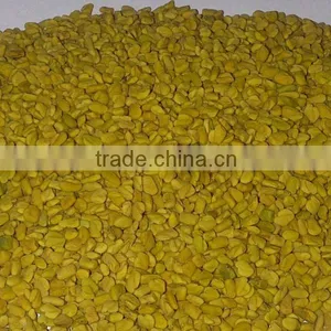 Fenugreek thumbnail-1