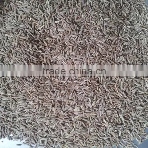 Cumin Seed Singapore 99% thumbnail-3