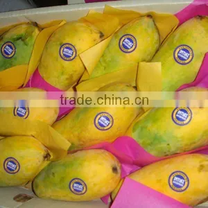 Delicious Sindhri Mango thumbnail-1