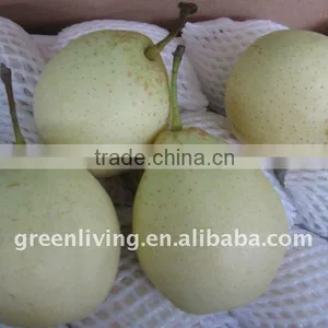2011 Best Quality and Lowest Price ya Pear (from China) thumbnail-1