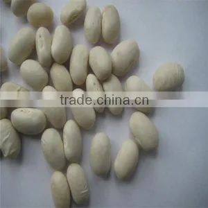 White Kidney Bean for Sale thumbnail-6