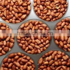 Peanuts in Shelled thumbnail-4