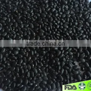 Black Beans thumbnail-1