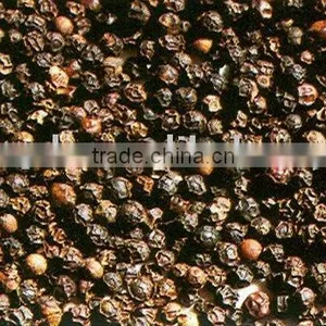 Black Pepper thumbnail-1