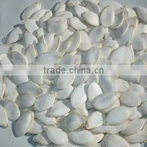 Snow White Pumpkin Seeds thumbnail-1