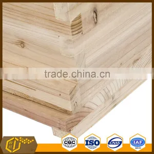 Bee Hive thumbnail-4