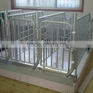 Pig Gestation Stall Crate For Livestock Pe Pig Living Box thumbnail-5
