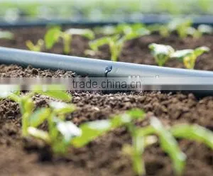 Good Quality 16mm Plastic Drip Irrigation Emitter Pipe for Agriculture thumbnail-2