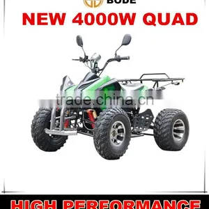 Chinese 4000W Adult Qude Bike thumbnail-1