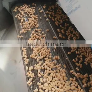 Jinan Eagle Freeze Drying Plant/Dog Feed Pellet Dryer thumbnail-1