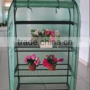 Plastic Greenhouse thumbnail-1