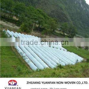 PP Spunbonded Nonwoven Fabric for Agriculture thumbnail-3