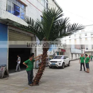 CHY020934 High Quality Palm Tree for Landscaping Decoration thumbnail-1