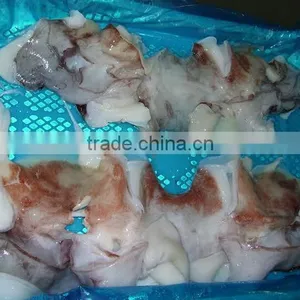 Frozen Giant Squid Raw Necks thumbnail-4