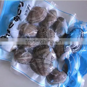 FROZEN COOKED WHOLE BROWN CLAM HIGH QUALITY PRODUCT thumbnail-1