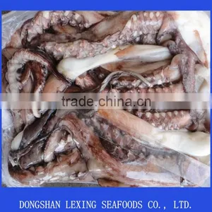 Frozen Giant Squid Tentacles thumbnail-1