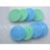 Dry and Wet Dual Sponge Pulp thumbnail-1