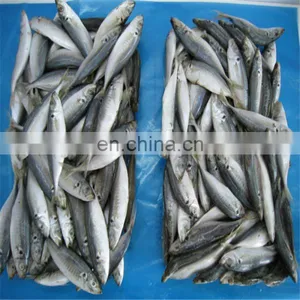 Frozen Breaded Horse Mackerel Fillet thumbnail-2