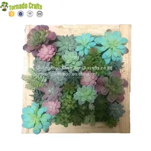 50*50cm Artificial Succulent Plants Plastic Ferns Green Grass Photo Frame Wall Decoration Flowers Home thumbnail-4