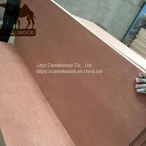 1220x2440mm Commercial Plywood 18mm Bintangor Face Plywood for France Market Bintangor Plywood thumbnail-4