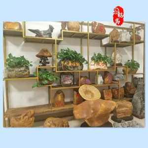 Yingde City Mingfu Garden Co., Ltd. company overview - view 2 thumbnail