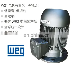 WEG W21 Series IE2 High Efficiency 22kw 3 Phase ac Induction Motor thumbnail-4