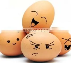 Peacock Eggs for Sale thumbnail-1