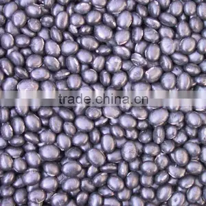 Black Bean thumbnail-1