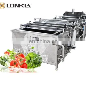 Automatic Vegetable Blanching Machine Fruit Processing Fruit Vegetable Blanching Machine thumbnail-1