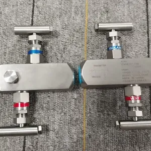 Customized 1/2NPT(M)-1/2NPT(F) High Temperature Resistance Transmitter Valve Stainless Steel Pressure Gauge Two-Valve Manifold 316SS thumbnail-4