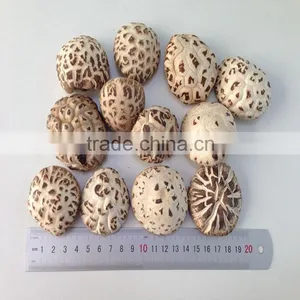 Dried White Flower Mushroom Export Products of Singapore thumbnail-3