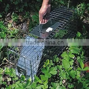 Squirrel Trap thumbnail-1