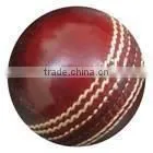 Pumpa Ball thumbnail-1
