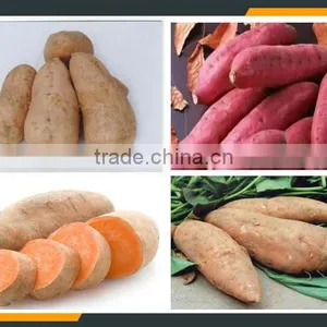 Twist Potato Slicer Machine With CE& ISO thumbnail-5