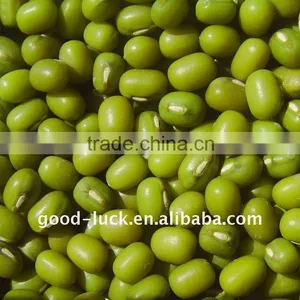2011 New Crop Mung Bean thumbnail-1
