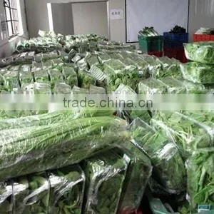 Full Servo Automatic Vegetable Packaging Machine thumbnail-3