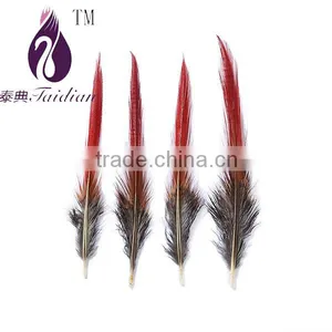 Red Sword Natural Feathers Bulk ,chicken Pheasant Feather thumbnail-1