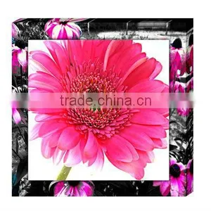 Red Sunflower Art Design Stretched Canvas Prints thumbnail-1
