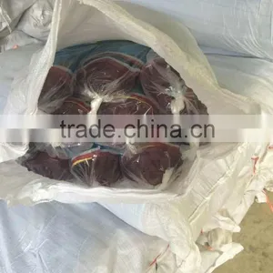 PE Plastic Nylon Net Fish Net(Best Price With High Quality,short Delivery Time and Good Aftersales Service) thumbnail-6