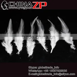 Leading Supplier CHINAZP Bulk Sale Good Quality Beautiful Bleached White Chicken Rooster Saddle Feathers thumbnail-1