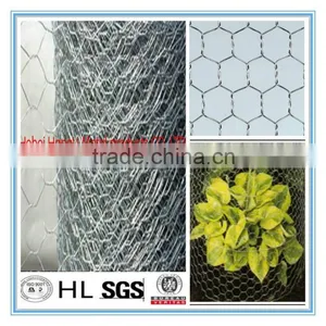 China Cheap Stainless Steel Hexagonal Wire Netting/ Fence Netting/ Woven Mesh/ Animal Catching Nets thumbnail-1