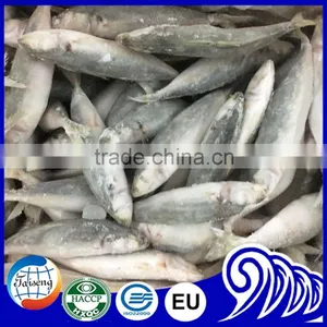 Useful for Canned Horse Mackerel thumbnail-4