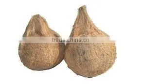 Bulk Sale for Semi Husked Coconuts thumbnail-5