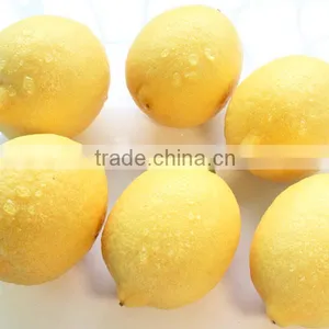 Fresh Citrus Fruit China Yellow Eureka Fresh Lemon thumbnail-1